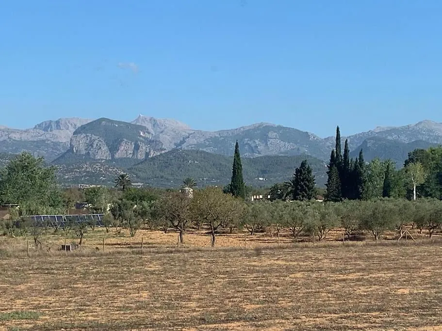 Stunning Country Villa With Panoramic Mountain Views Biniali  Biniali (Majorca)