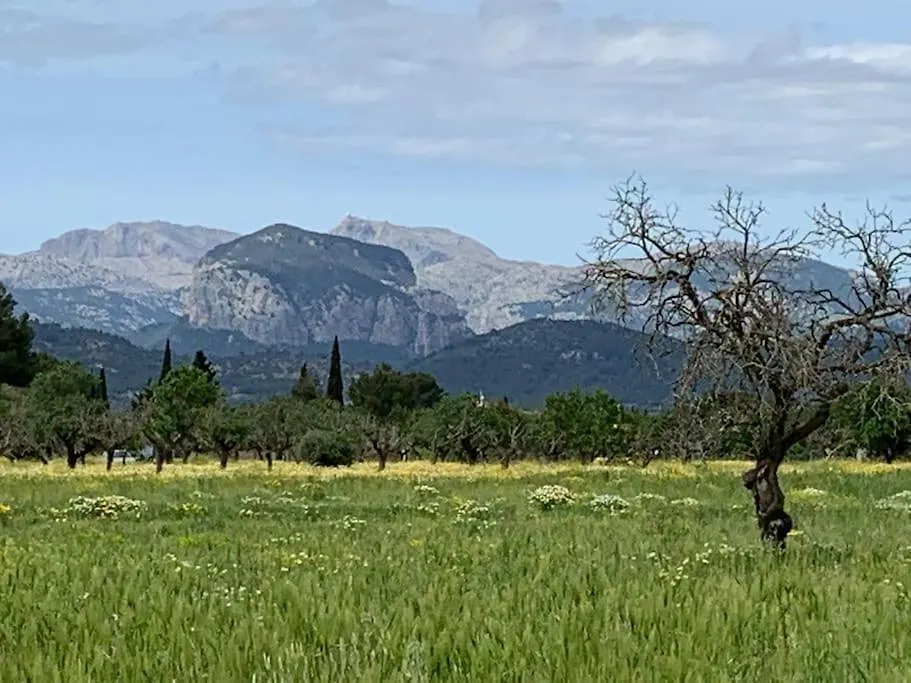 Stunning Country Villa With Panoramic Mountain Views Biniali