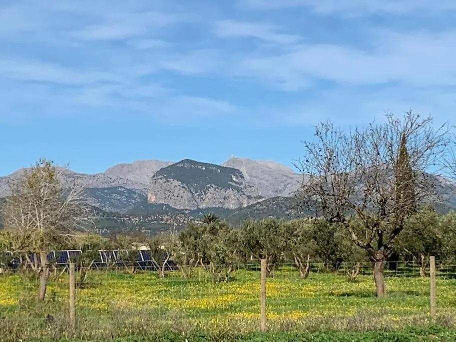 Stunning Country Villa With Panoramic Mountain Views Biniali  Испания
