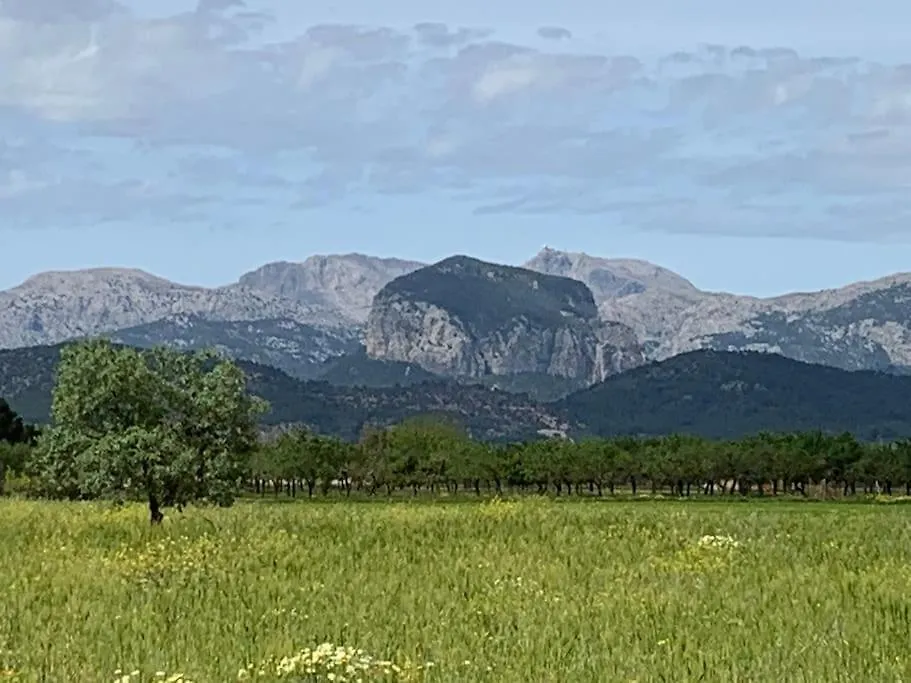 Stunning Country Villa With Panoramic Mountain Views Biniali  0*, Biniali (Majorca)