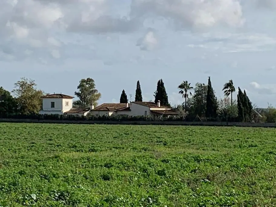 Stunning Country Villa With Panoramic Mountain Views Biniali