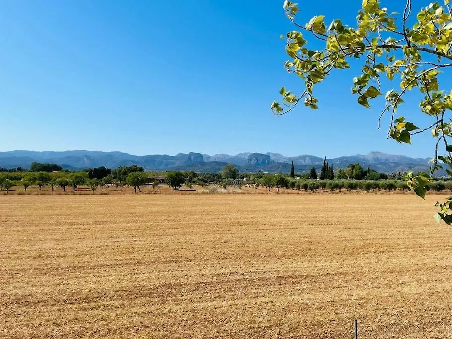 Stunning Country Villa With Panoramic Mountain Views Biniali   Biniali (Majorca)